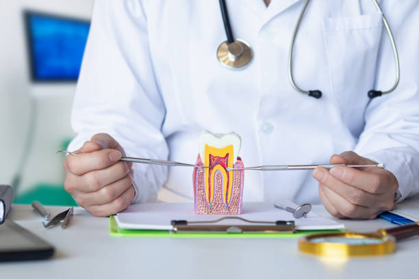 Best Emergency Root Canal Treatment in Knightdale, NC